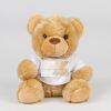Bear in a t-shirt Thumbnail